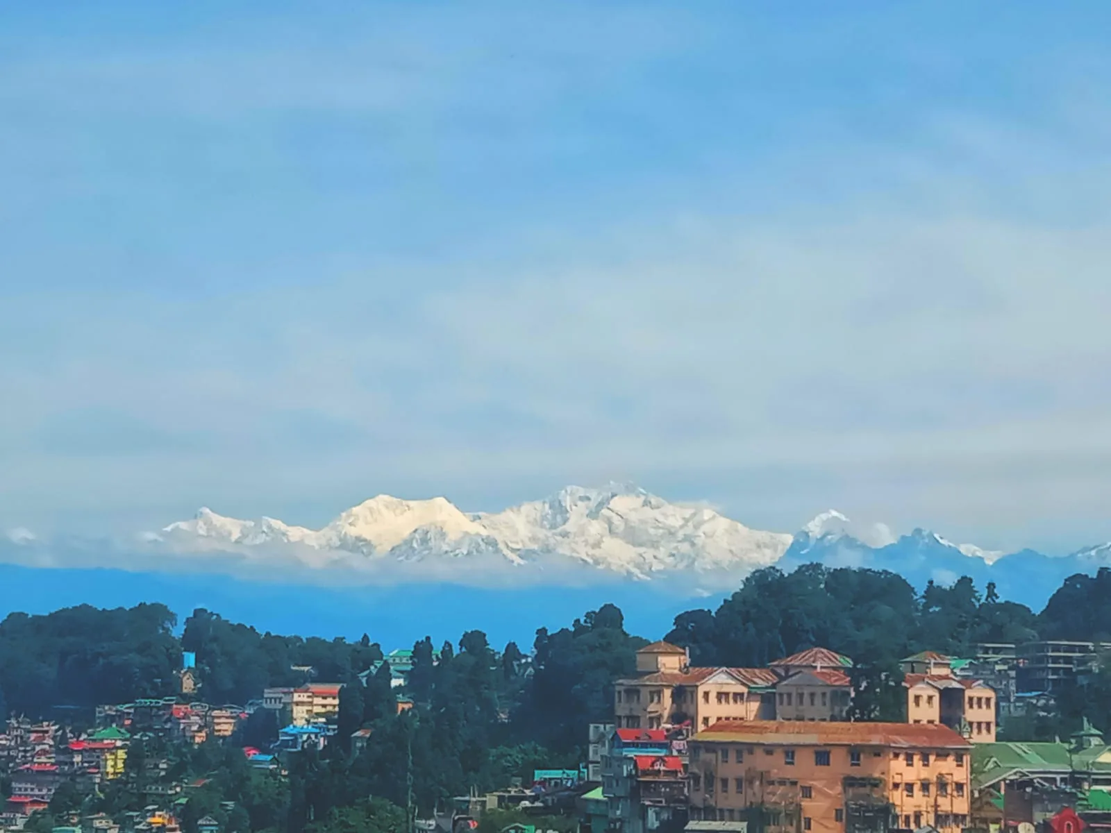 The snow-covered Khangchendzonga range above a hillside town and green forest