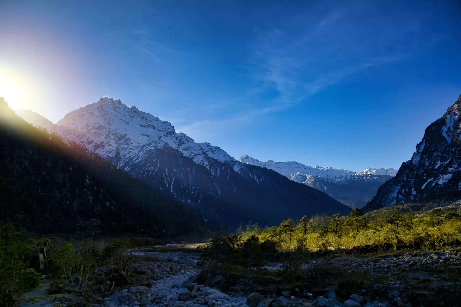 A wide, stony river valley with pine trees lit by the low sun, below snow-covered peaks and a clear blue sky